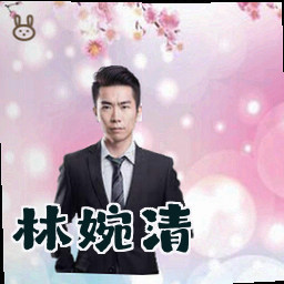 林婉清